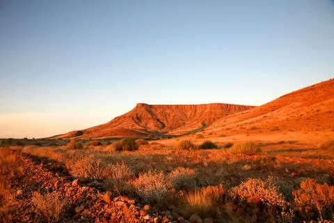 Desert landscape Stock Photos