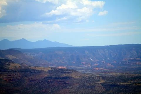 Desert landscape 库存照片