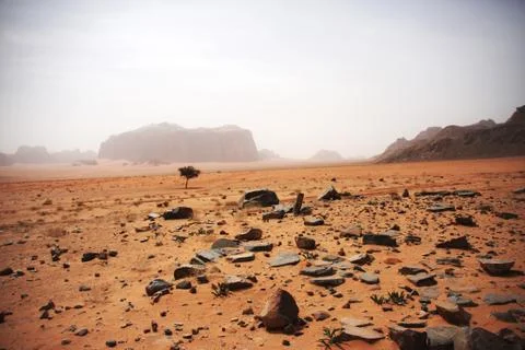 Desert landscape Stock-Fotos