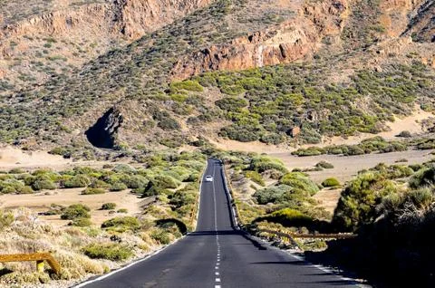 Desert Landscape Stockfoto's