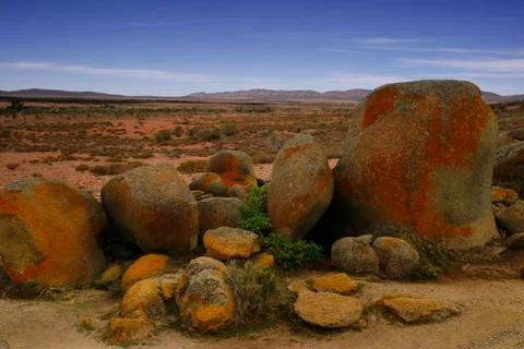 Desert Landscape Foto stock