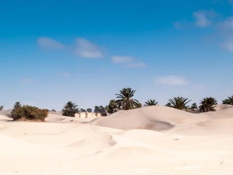 Desert landscape Stock Photos