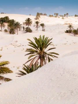 Desert landscape Stock Photos