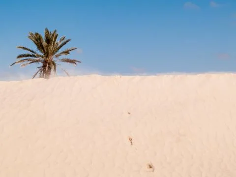 Desert landscape Foto stock