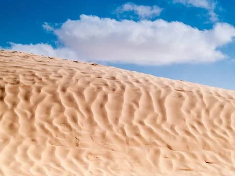 Desert landscape Stock Photos