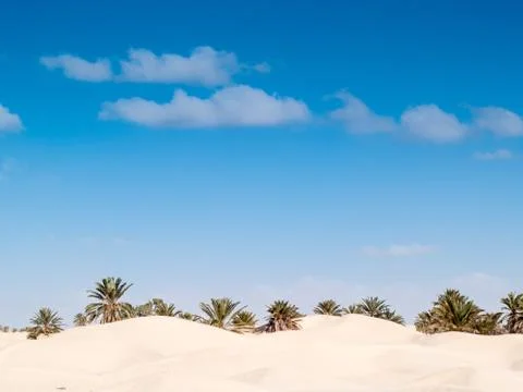 Desert landscape Foto stock