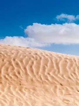 Desert landscape Foto stock