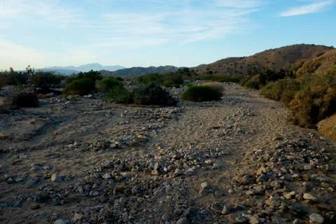 Desert Landscape Stockfoto's