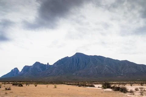 Desert Landscape Stock Photos
