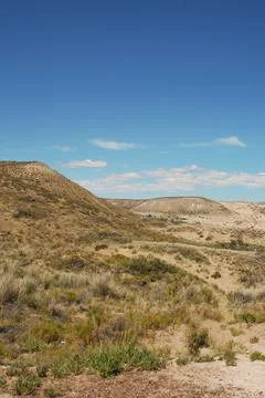 Desert landscape 스톡 사진