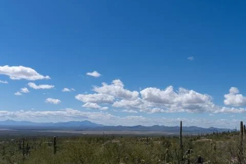 Desert Landscape 库存照片