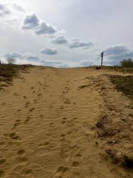 Desert Landscape 写真素材