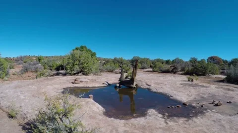Desert Landscape with puddle of water. Stock Footage 99753419
