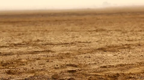 Desert Landscape in Rajasthan Stock Footage 46833958