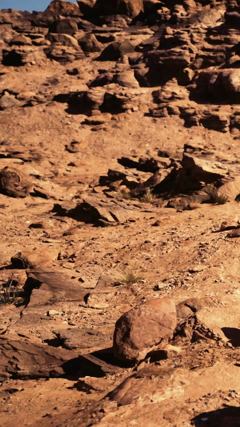Desert landscape with rocks and sparse vegetation during sunset hours Stock Footage 331440513