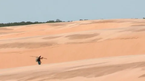 Desert landscape. Sahara winds blowing sand. Arid and dry landscape of desert Stock Footage