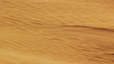 Desert landscape with sand and wind Stock Footage