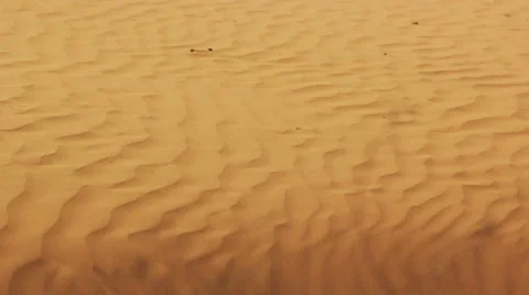 Desert landscape with sand and wind Stock Footage 5018783