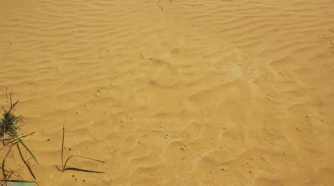 Desert landscape with sand and wind Stock Footage 5087029