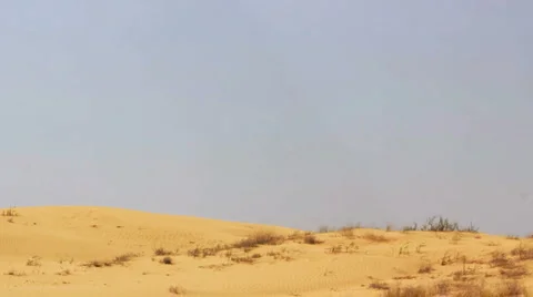Desert landscape with sand and wind Stock Footage 5087213