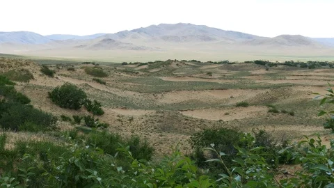 Desert landscape- sand dunes with low vegetation on the background of mountains. Stock Footage 82220984