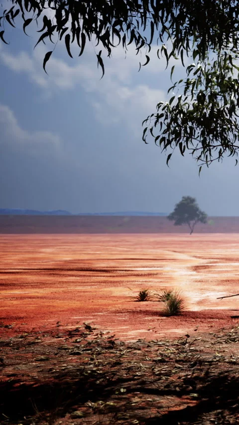 Desert landscape with single tree under blue sky during daytime Stock Footage 337933235