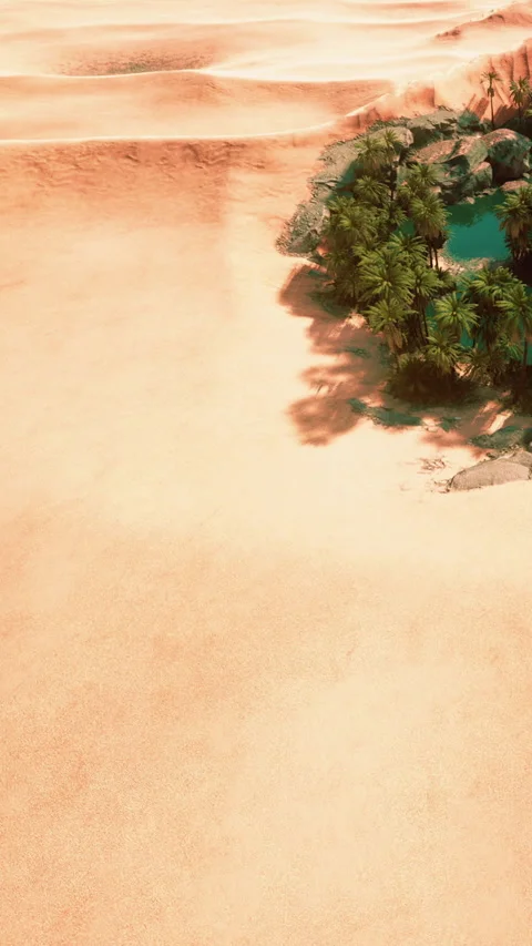 Desert landscape with a small oasis surrounded by palm trees 스톡 동영상 345010838