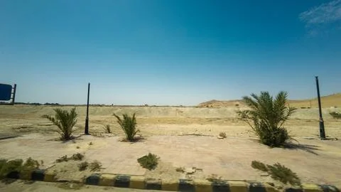 Desert Landscape with Sparse Palm Trees Stock Photos