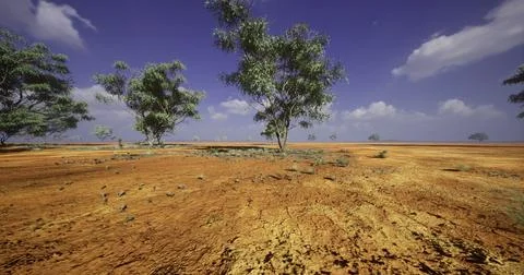 Desert landscape with sparse trees and a clear blue sky during daylight 스톡 일러스트