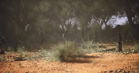 Desert landscape with sparse vegetation and rocky terrain under a cloudy sky Stock Footage 321781170