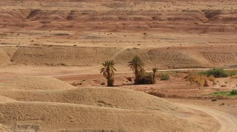 Desert landscape with sparse vegetation and a winding path Stock Photos