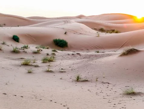 A desert landscape with a sun setting in the background Foto stock