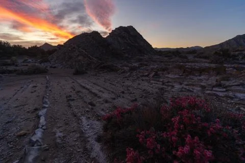 Desert Landscape at sunset Stock Photos