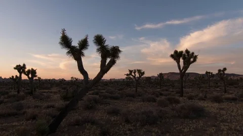 Desert Landscape, Sunset, Timelapse Stock Footage 84360812