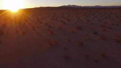 Desert landscape at sunset with vibrant orange sun rays illuminating sparse.. Stock Footage 337777983