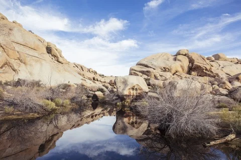 Desert landscape time lapse with cloud movement, in Joshua Tree National Park. Stock Footage 118380836