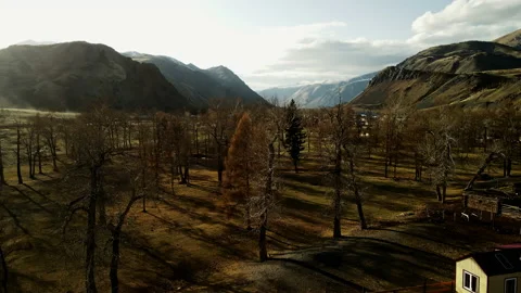 A desert landscape with trees without leaves. Mountains and bright skies on a Stock Footage 195422942