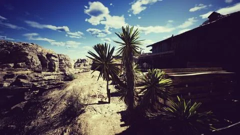 Desert landscape with unique flora and rustic buildings under blue sky Ilustración de archivo