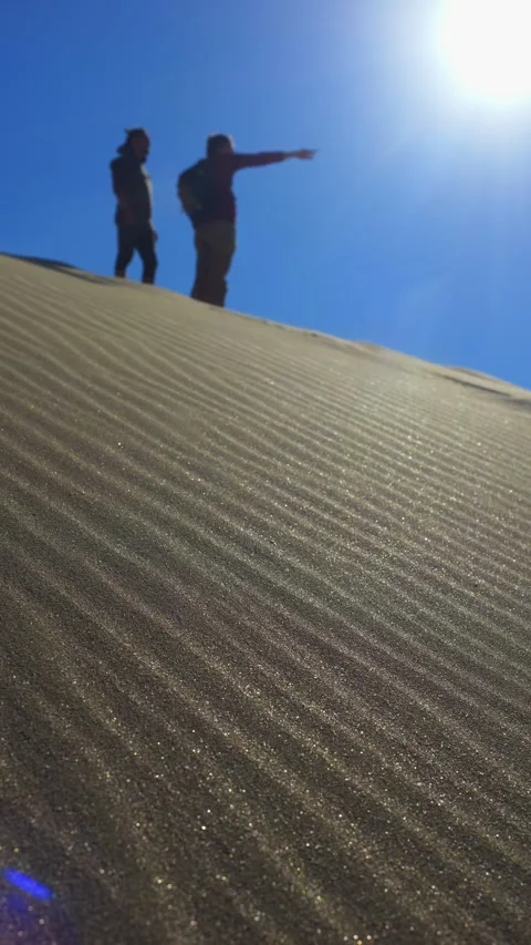 Desert landscape vertical video. beautiful sand dunes with people on the Stock Footage 271551096