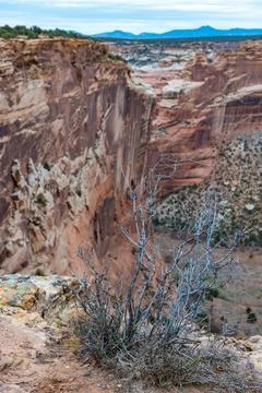 Desert landscape, view of red eroded rocks, Canyon de Chelly National Monum.. Stock Photos