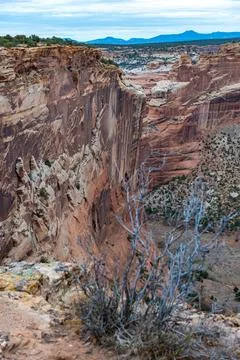 Desert landscape, view of red eroded rocks, Canyon de Chelly National Monum.. Foto stock