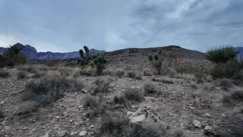 Desert Landscape View While Horseback Riding Stock Footage 318971801