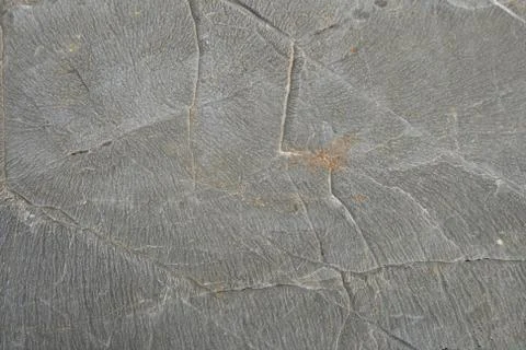 Desert limestone texture Stock Photos