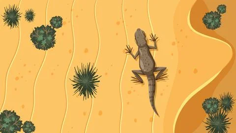 Desert Lizard and Cacti Top View Stock Illustration