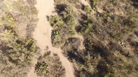 Desert Low Aerial Footprints Stock Footage