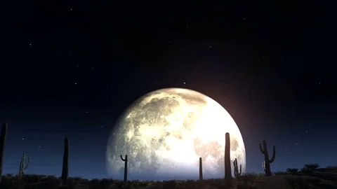 Desert moon light Stock Footage 71448106