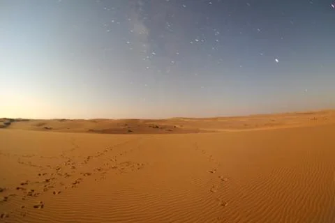Desert in the moonlight Stock Photos