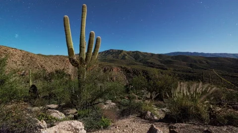 Desert Moonlight Stars 1 Video stock 53374437