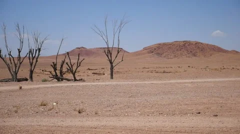 Desert of Morocco Видео 67559286
