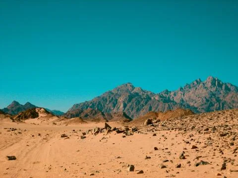 Desert with the mountain range in the background Foto stock